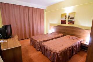 Отель Hotel FAN Sebes Себеш Двухместный номер Делюкс с 1 кроватью или 2 отдельными кроватями-9