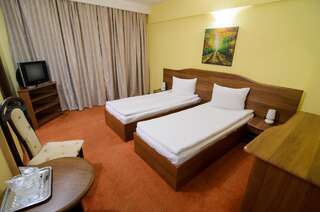 Отель Hotel FAN Sebes Себеш Двухместный номер Делюкс с 1 кроватью или 2 отдельными кроватями-2